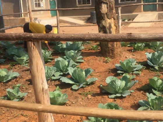 Blog 10 Matron Passy working in one of the school vegetable gardens